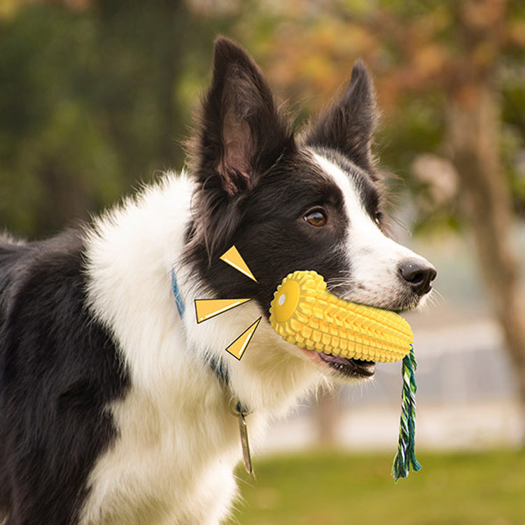Popular Durable Rubber Corn Do - Corn Dog Stick recension och pris
